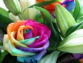 /album/fotitos-/laflormasraraa-jpg/